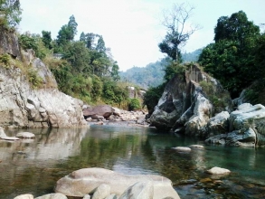 Dooars Tour of Jayanti Jaldapara Lataguri